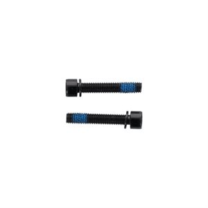 Elvedes - 1 pair flatmount bolts m5 × 28mm